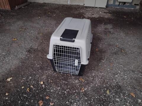 Verkaufe Tiertransportbox