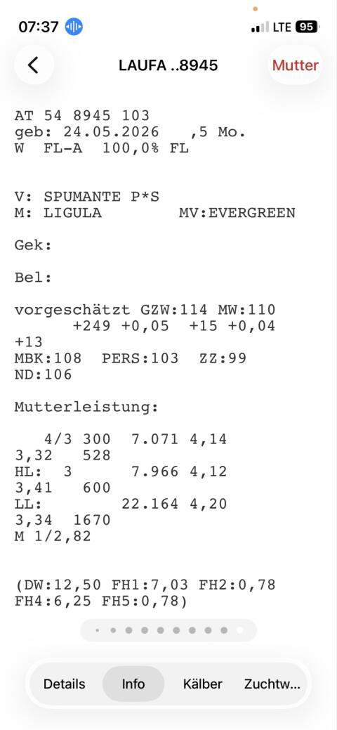 Zuchtkälber Bio