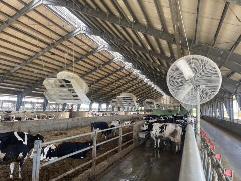Lüfter, Ventilatoren für Stall, Dm. 140 cm