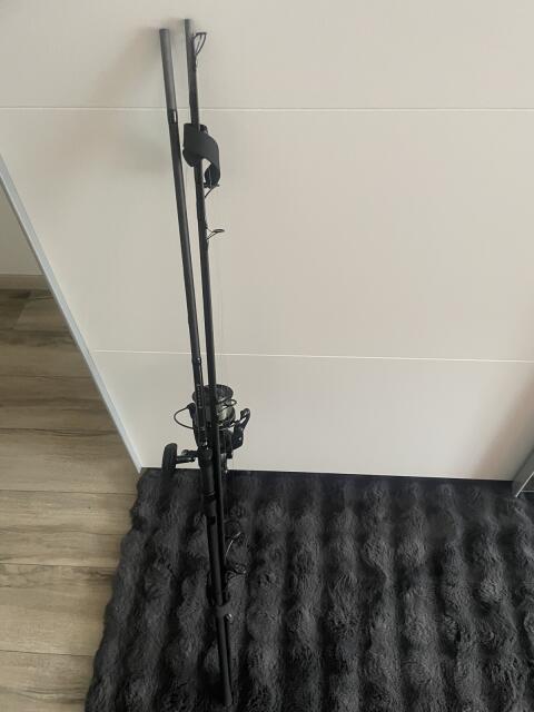 Karpfenrute mit Freilaufrolle