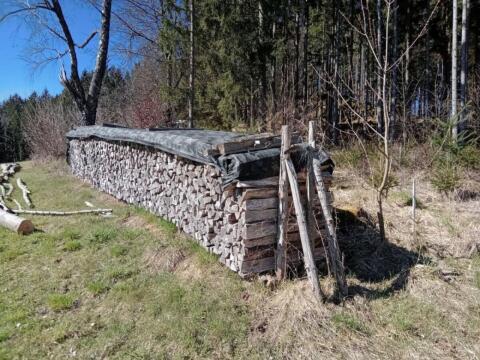 20 Rm Buchenholz, trocken
