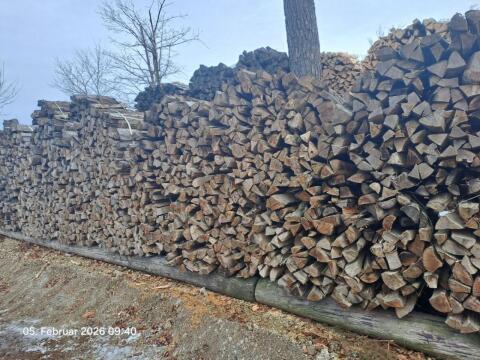 Brennholz