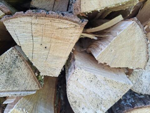 Brennholz
