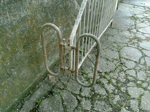 Aufstallung von Zuchtsauen