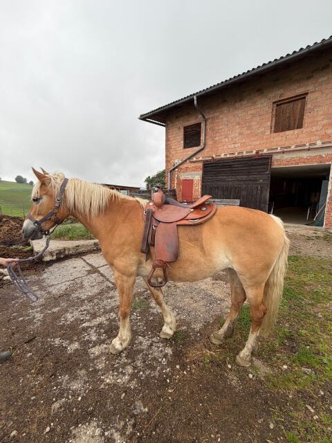 Continental Westernsattel