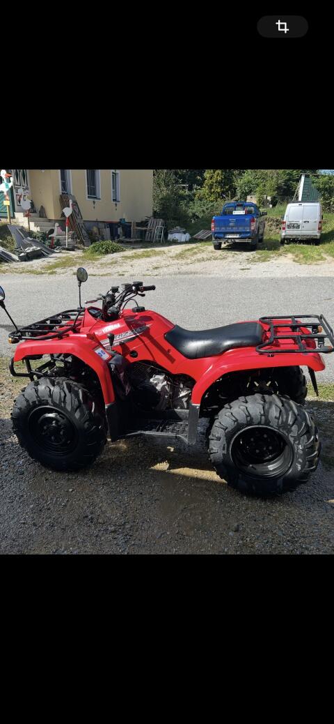 Quad Grizzly 350