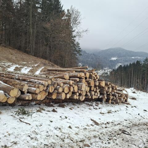 Holz 4 m Stamm