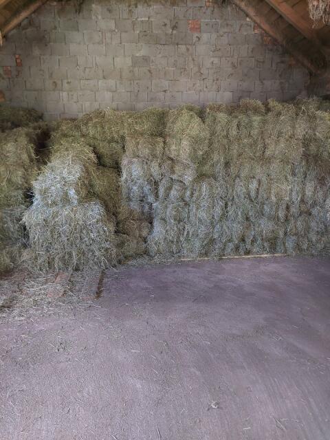 Heuballen