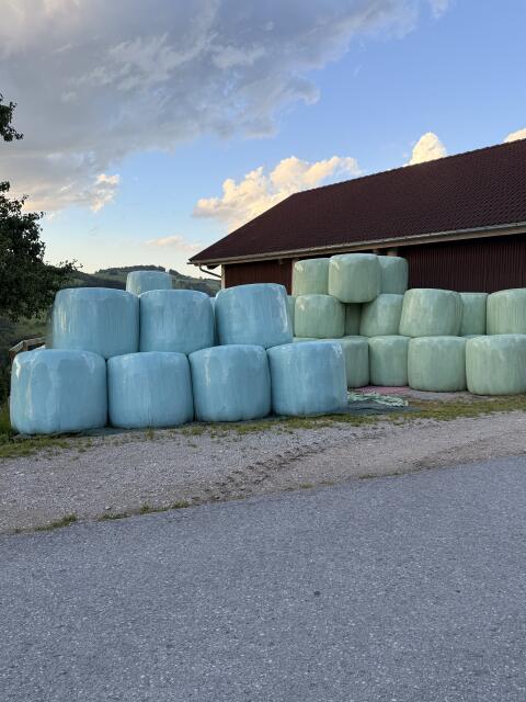 Siloballen 4. Schnitt 2025