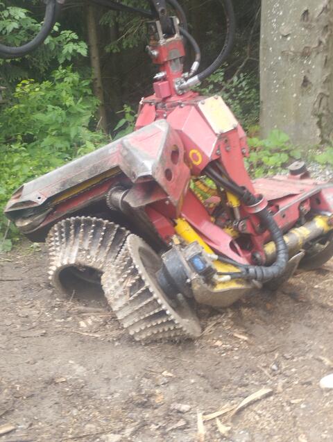 Woody 60, Bj. 2009
