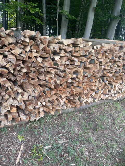 Buchen-Brennholz