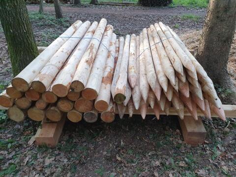 Lärchenpfähle, Zaunpfähle, Pflanzstäbe