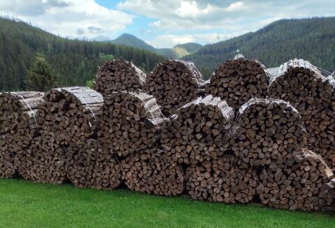 Brennholz