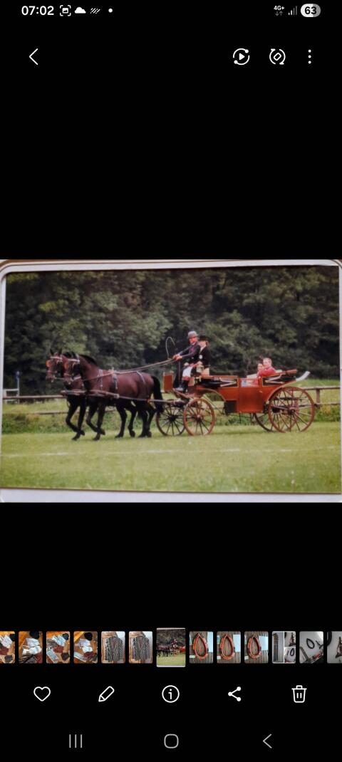 Landauer, Wagonette, Steirerwagerl, Reithelm, Lederstiefel, Sattel