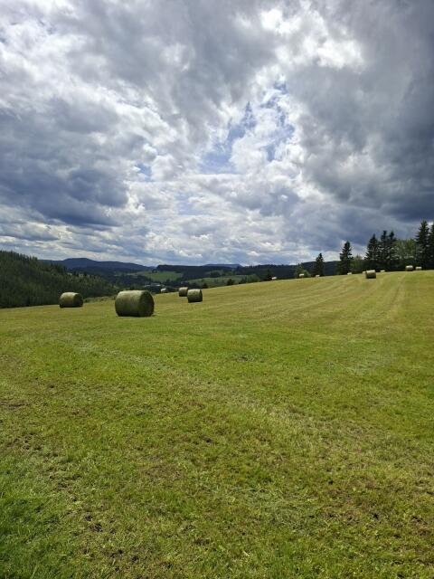 Bio Silageballen