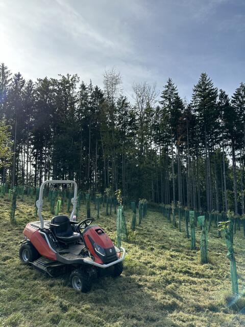 Efco Hochgrasmäher Tonkawa 110
