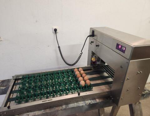 Eierprinter, Eierkennzeichnung, Eiersortiermaschine Egg Jet BAN1