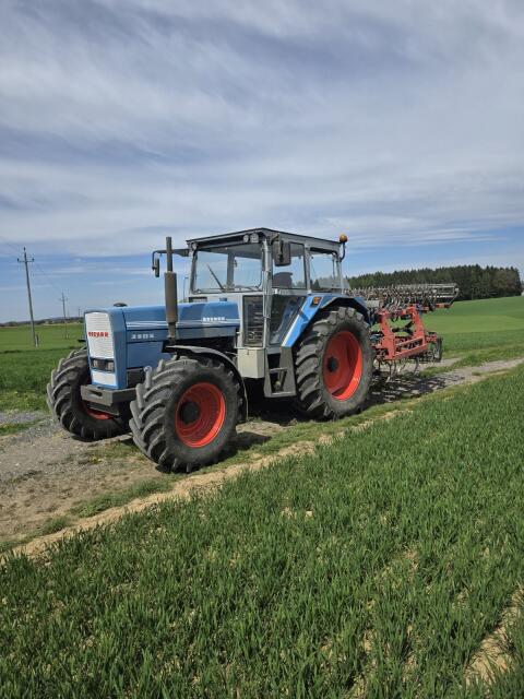 Eicher gesucht
