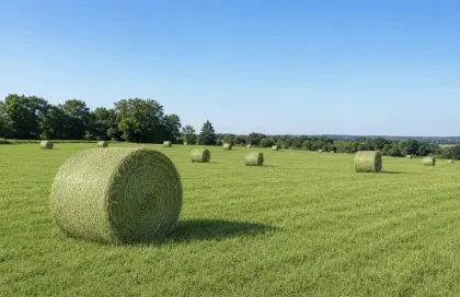 Heuballen
