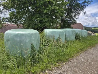Silageballen