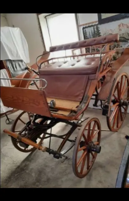 Rehbock, Steirerwagerl, Wagonette, Landauer, Sattel, Zaumzeug, Leder