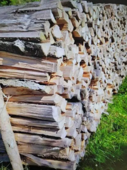 Brennholz