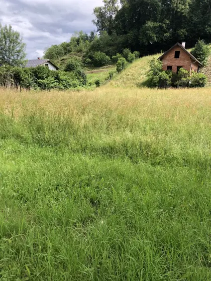 Gras