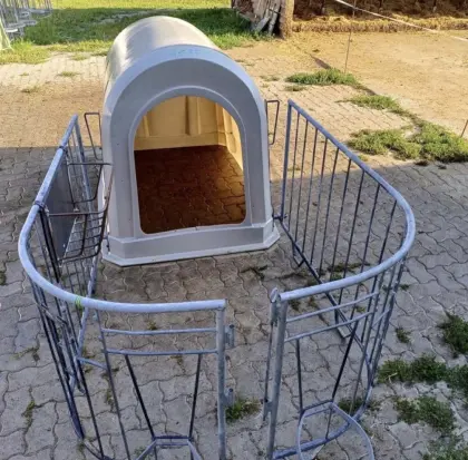 Iglu Kälber