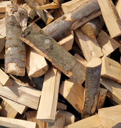 Brennholz Buche, Hartholz, Kaminholz, Kachelofen