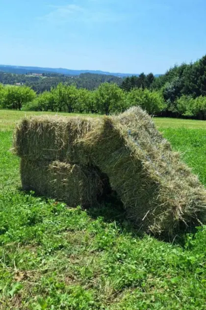 Heu Kleinballen