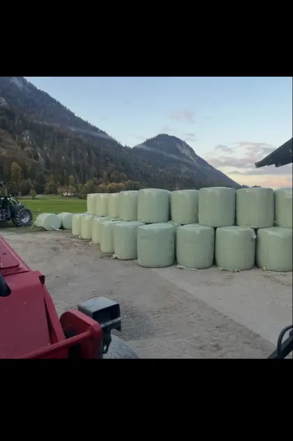 Maisballen