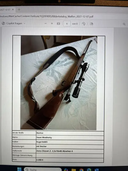 Waffen Sauer-Weatherby, Mauser 66, Mauser 98