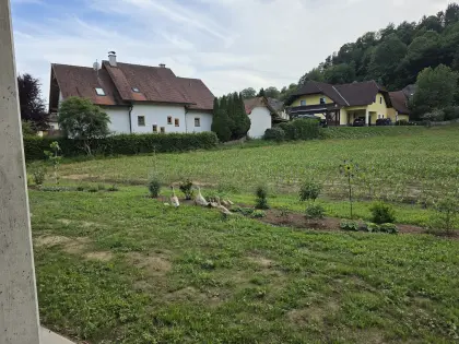 Laufenten