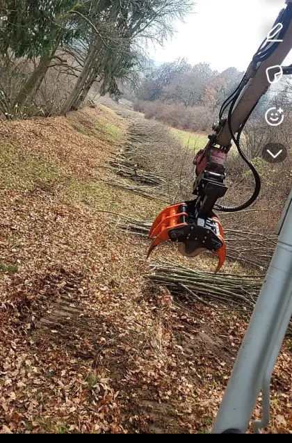 Dienstleistungen