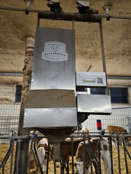 Wasserbauer Kuhmeister, Bullenmeister