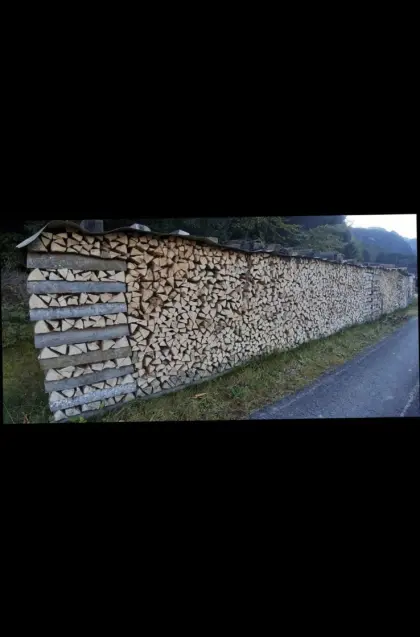 Buchen-Brennholz