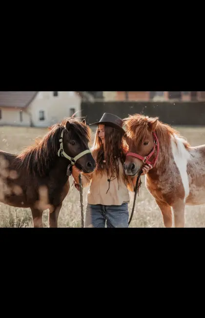 Shetland-Ponys Duo