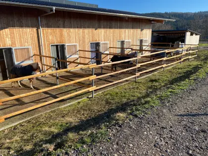 Pferdeboxen in Adenau