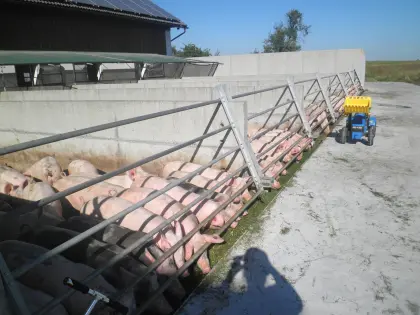 Suche Futtergetreide Bio oder UM-Ware, Weizen, Gerste und AB