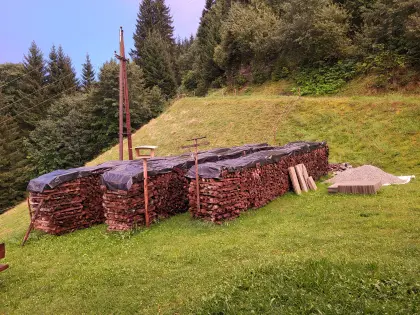 Brennholz Fichte