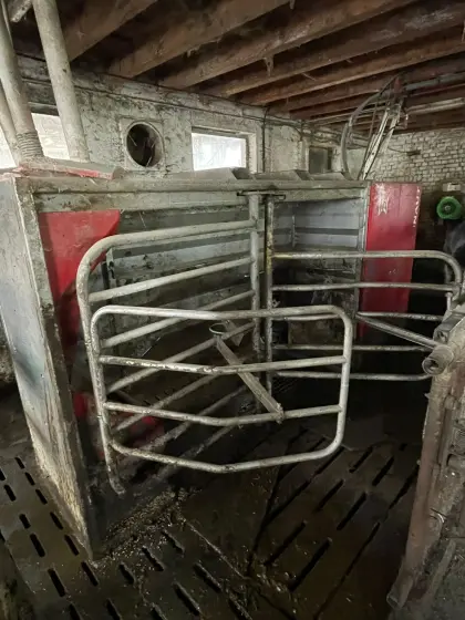 Lely Astronaut Melkroboter A3 Classic zu verk.