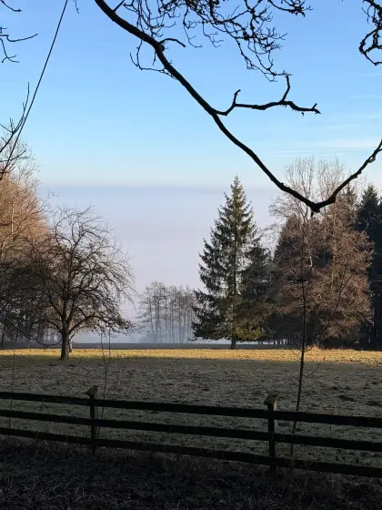 Grünland, Weide 1,17 ha in Handenberg, nahe Braunau a. Inn