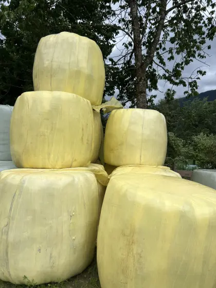 Silageballen