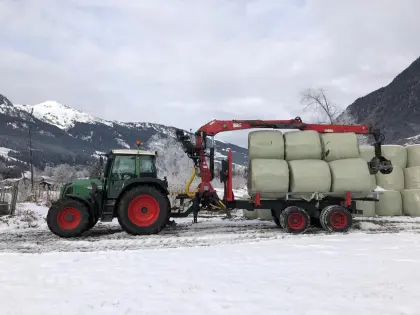 Penz Kran 10Z mit Rückewagen