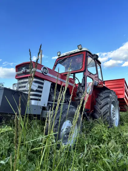 Massey Ferguson 165
