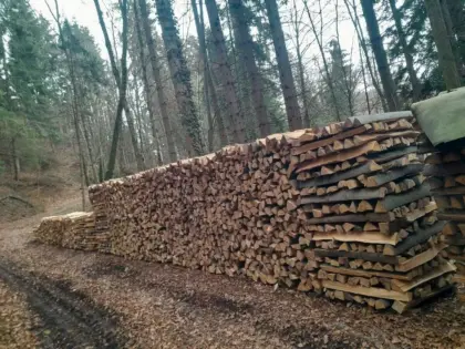 Brennholz