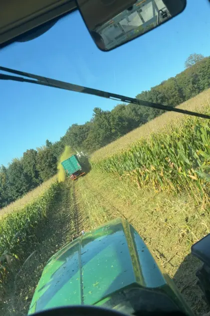 Silo-Mais ab Feld verfügbar, Ernte 2026, Preis VB