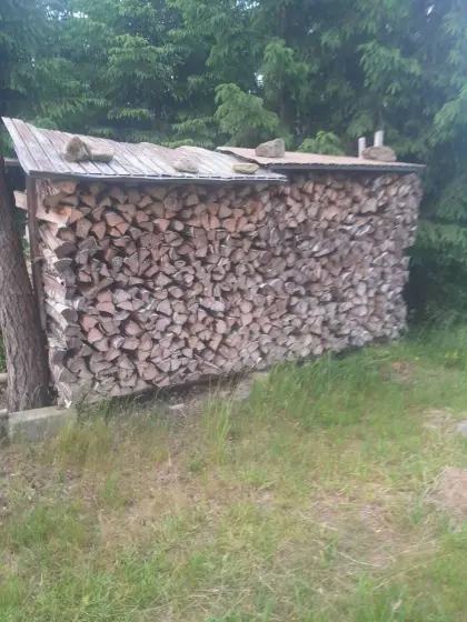 Birkenbrennholz