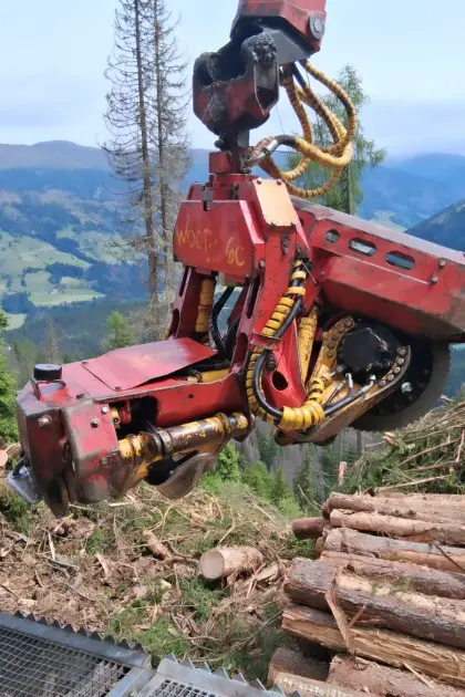 Konrad Woody 60, Bj. 11/2019