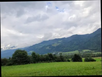 Biete Hilfe Kuhstallarbeit Ost
